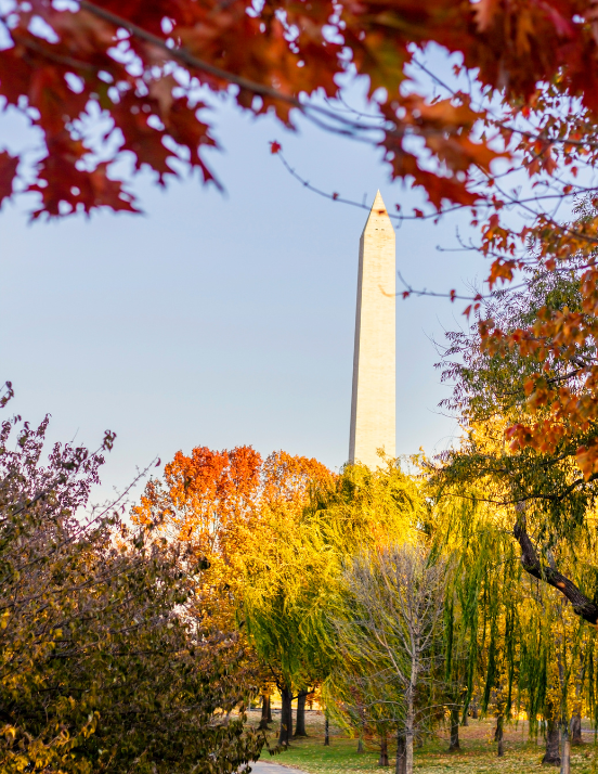 The Washington Monument in Washington, D.C.